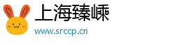 上海臻嵊